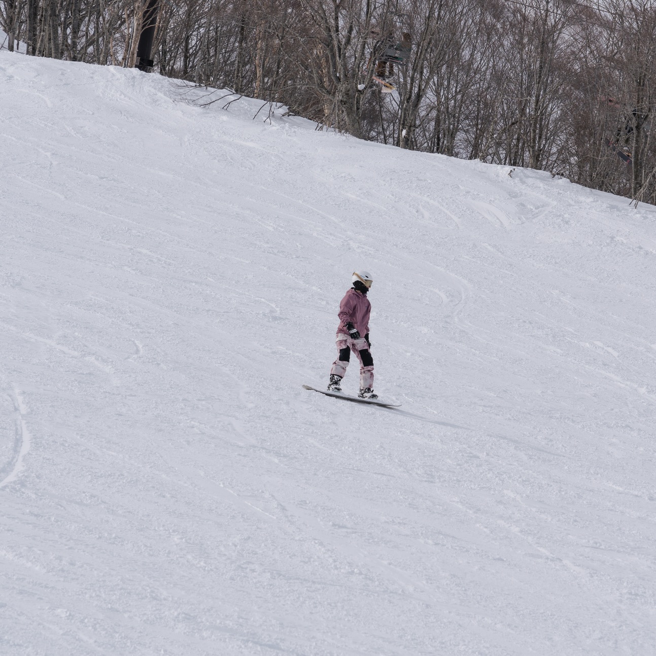 手稻・札幌國際｜滑雪課程－全日